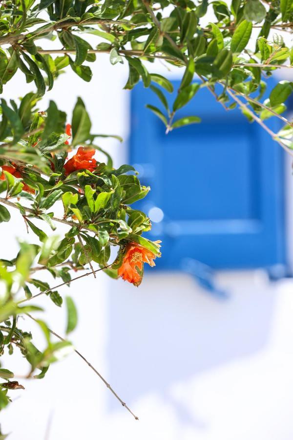 Mykonos In White Villa Mykonos Town Eksteriør billede
